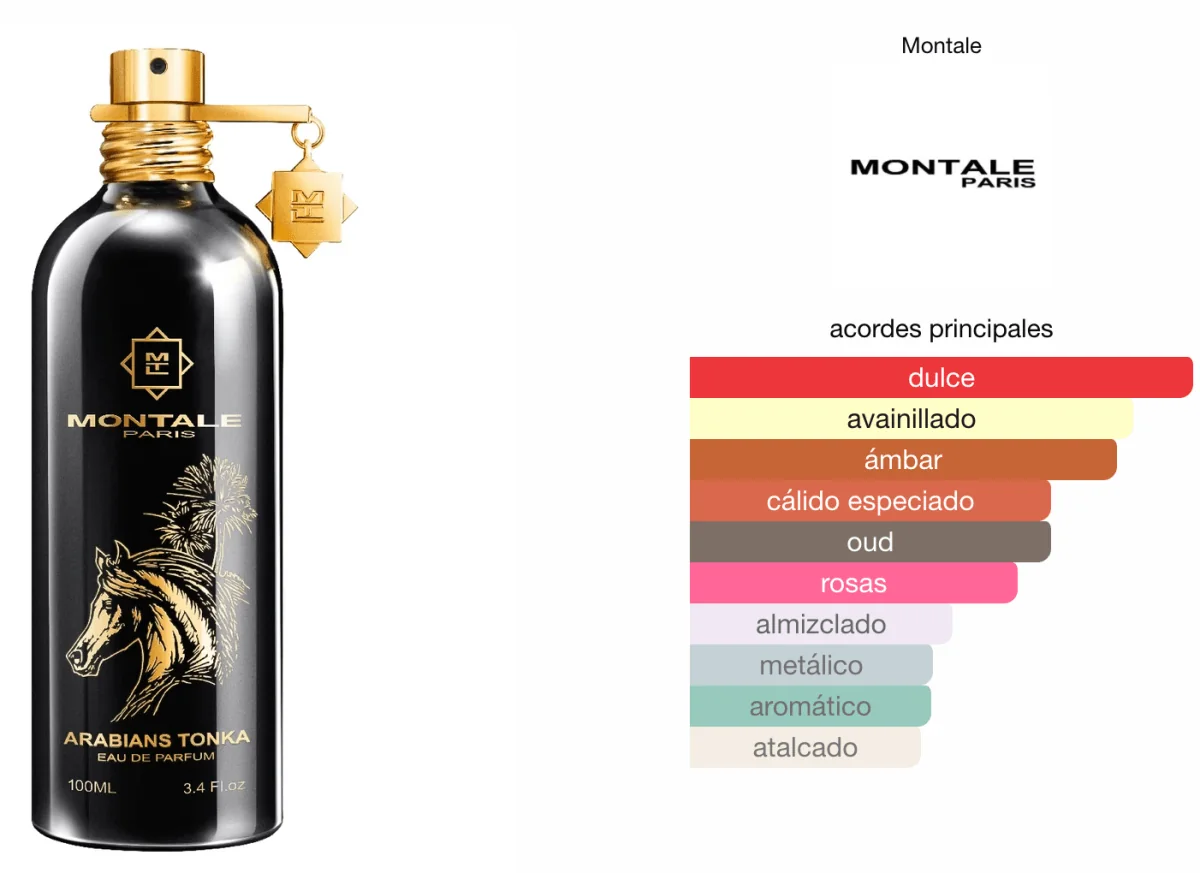 Montale Arabians Tonka